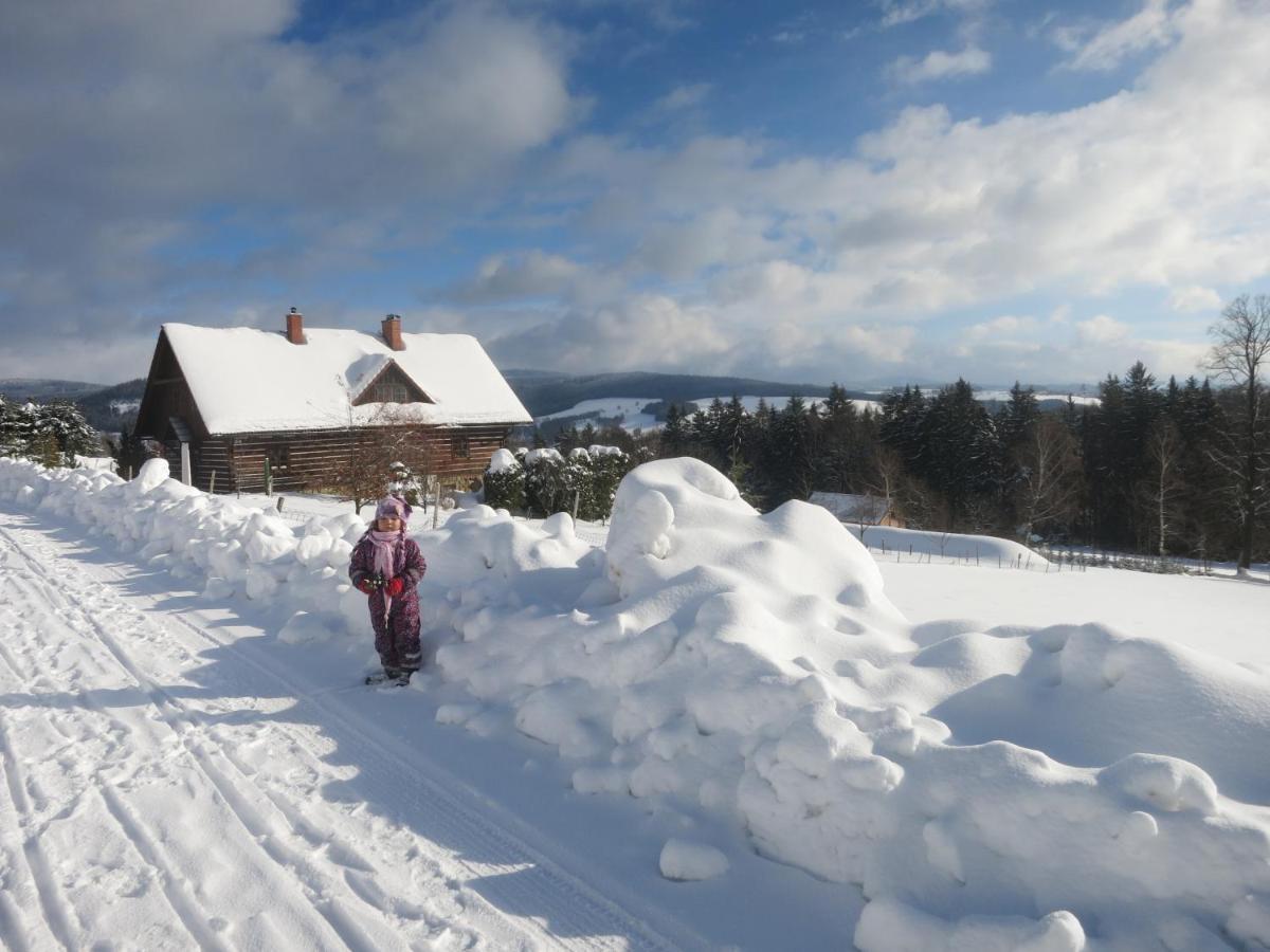 Roubenka Elisabeth Otel Jablonné nad Orlicí Dış mekan fotoğraf